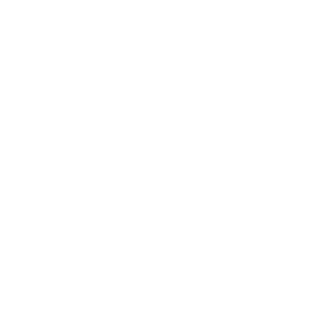 Pinnacle Defence