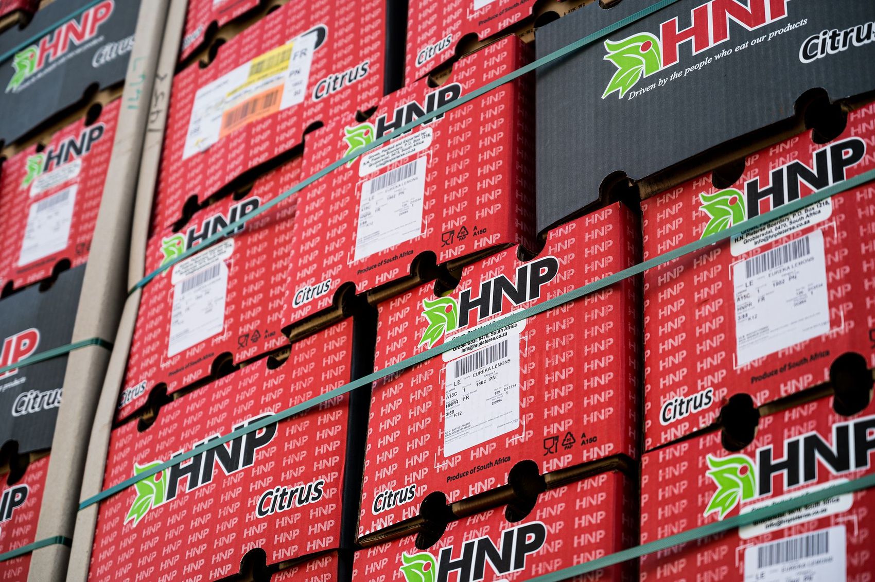 HNP Boerdery: Stacks of red HNP-branded fruit boxes