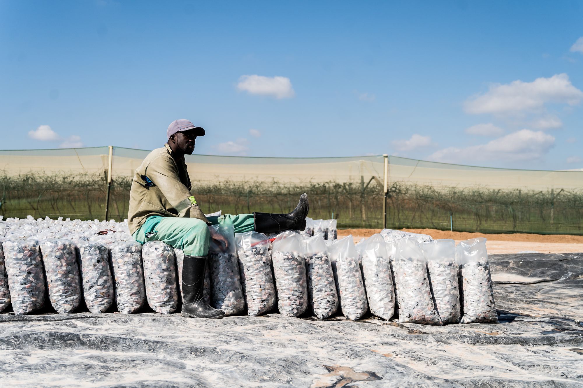 Pebble Africa: Worker beside a line of filled bags at the yard
